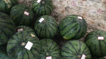 免费吃瓜摊,街头美食盛宴,畅享夏日清凉 第2张 免费吃瓜摊,街头美食盛宴,畅享夏日清凉 第2张