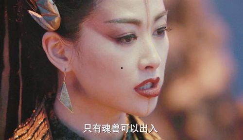 爆料十大小舞视频,舞动青春，燃情岁月