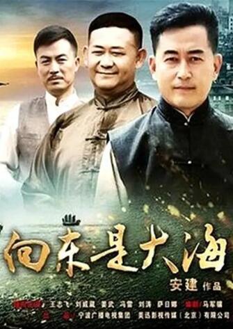 向东是大海在线观看,揭秘“向东是大海”在线观看之旅