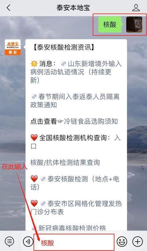 泰安核酸爆料事件最新,真相与争议交织的核酸检测风波 第3张 泰安核酸爆料事件最新,真相与争议交织的核酸检测风波 第3张