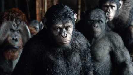 猿球崛起2在线观看,新纪元——智猿争霸,未来世界风云再起 第2张 猿球崛起2在线观看,新纪元——智猿争霸,未来世界风云再起 第2张