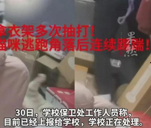 南京学生爆料事件视频最新,真相与争议交织的校园风云  第2张