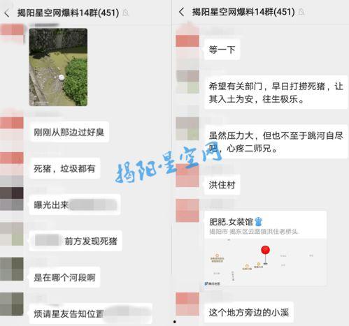 云路村爆料视频,乡村发展新动向  第3张