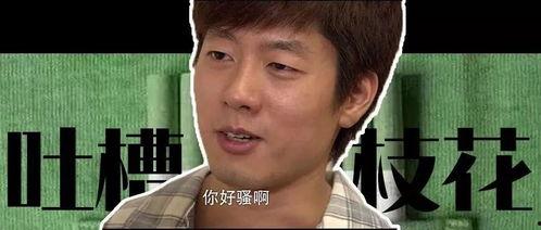 吃瓜永久免费观看,永久免费观看，畅享娱乐盛宴  第2张